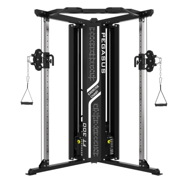 Pegasus Functional Trainer FT‑300