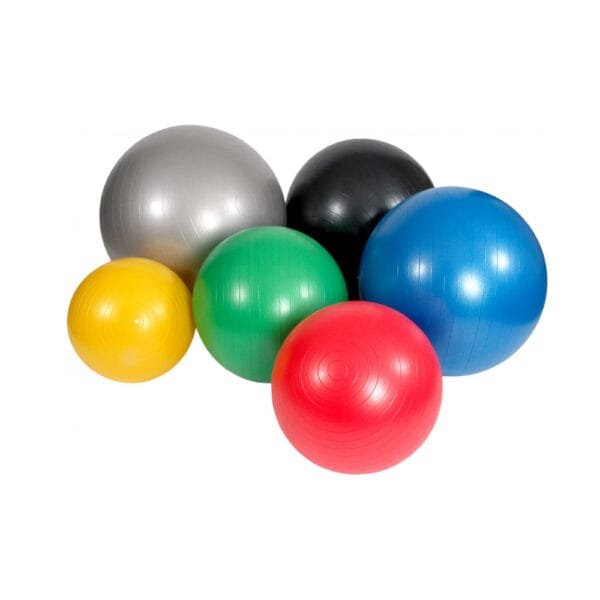 Viking Gym Ball Μπάλα Γυμναστικής (095)