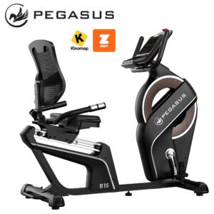 Pegasus Καθιστό Ποδήλατο B15
