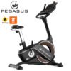 Pegasus Ποδήλατο Γυμναστικής B9