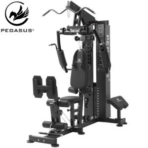 Pegasus Πολυόργανο MS‑130