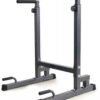 Viking DS-90 Dip Station