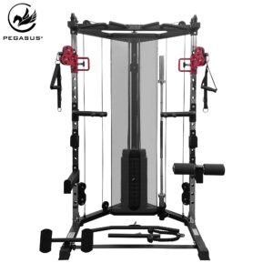 Pegasus Functional Trainer FT‑100